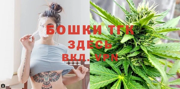 сатива Алексин