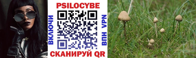 цена   МЕГА ссылка  Псилоцибиновые грибы Psilocybe  Тара 