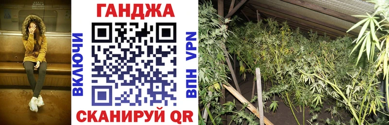 где можно купить наркотик  Тара  Канабис семена 